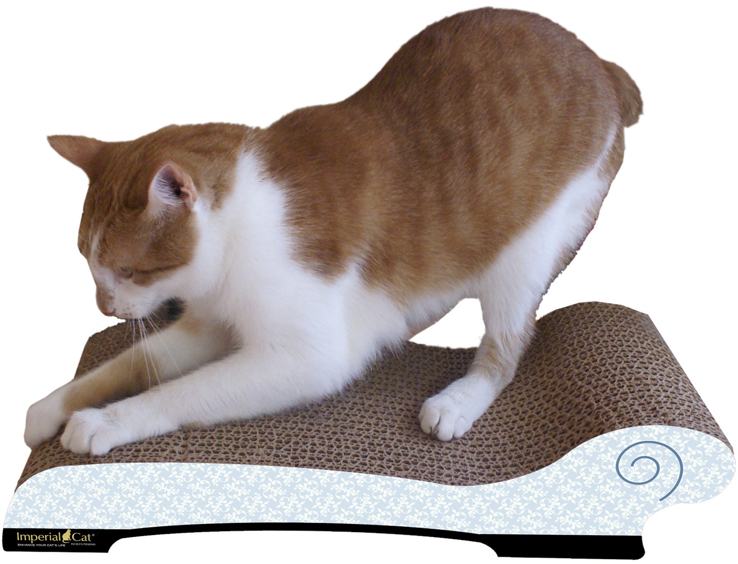 Imperial cat scratcher best sale