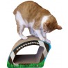 Imperial Cat Football Scratch 'n Shape